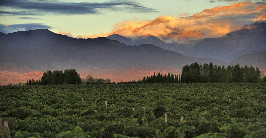 Argentinien Weinreisen günstig buchen