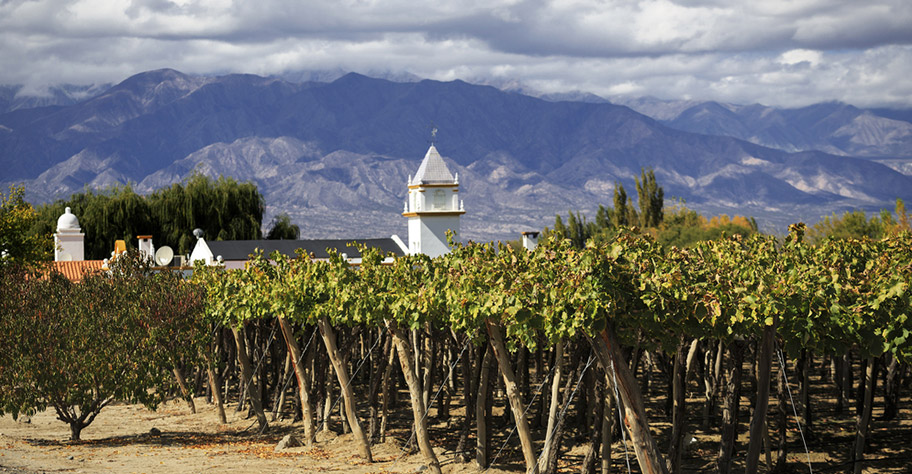 Wein Argentinien Rundreise Weinregion 