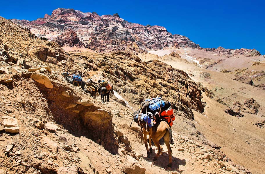 Chile Reisen mit Pferden Trekkings