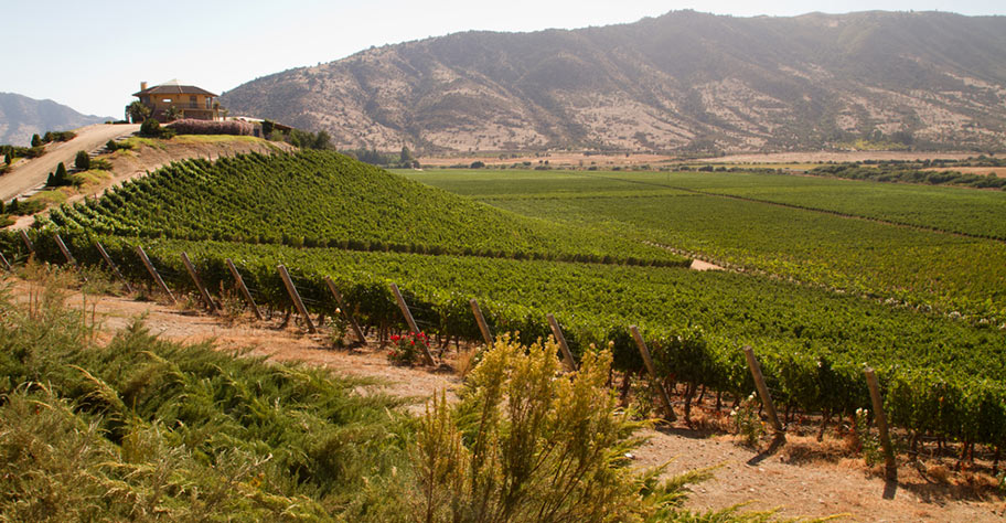 Weingut Chile Reisen Ferien Weinanbaugebiete